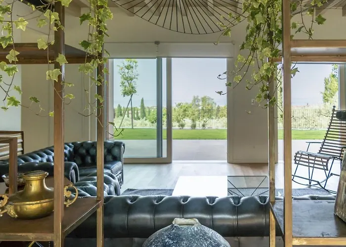 Collivo * لاتيزي